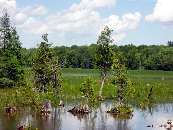 a spectacular view of the AuSable River